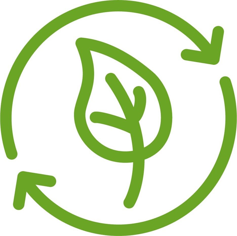 Advanced and renewable fuels